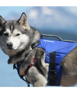 Stohlquist Pup Float Dog Lifejacket (PFD) -Kokatat Shop media 0088d19e 1d85 4447 9046 d935474c1dee