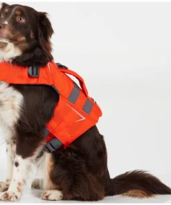 NRS CFD Dog Life Jacket 28 NRS CFD Dog Life Jacket -Kokatat Shop media 00a391a9 d099 44bf 82b5 ac9ed645773c