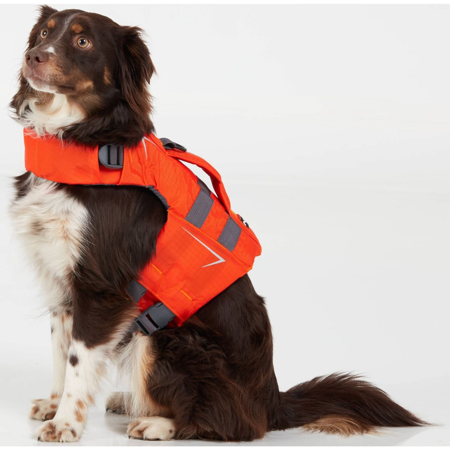 NRS CFD Dog Life Jacket 14 NRS CFD Dog Life Jacket - Image 14