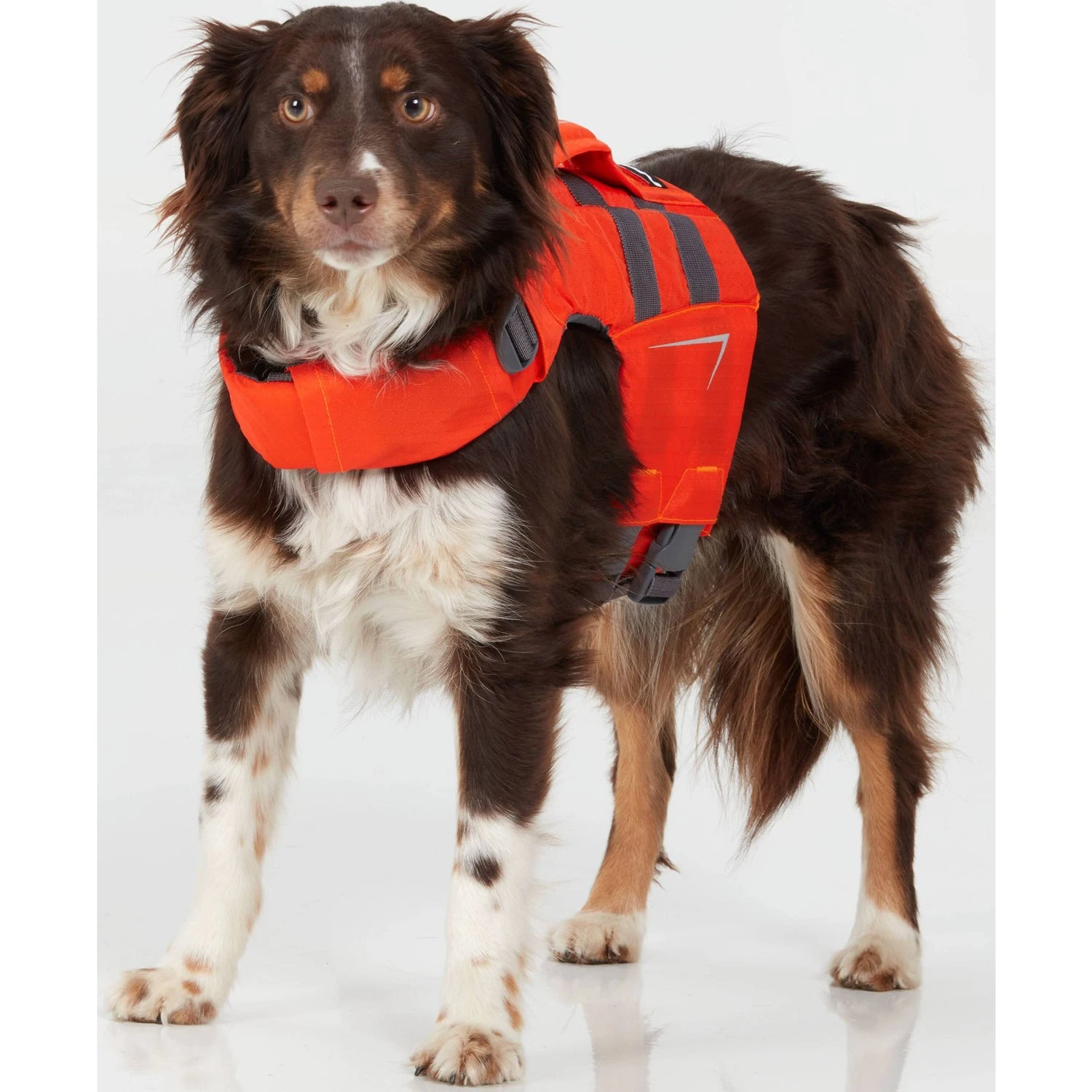 NRS CFD Dog Life Jacket 15 NRS CFD Dog Life Jacket - Image 15