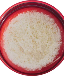 MSR Guardian Water Filter Cartridge Replacement -Kokatat Shop media 6ae949d4 9536 4ea0 8c3b 3eaf019a10da