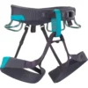 Black Diamond Women's Ethos Rock Climbing Harness (Closeout)