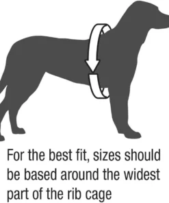 Stohlquist Pup Float Dog Lifejacket (PFD) -Kokatat Shop media 874baf7a 1016 4f69 ba9e 8cb4cb411d71