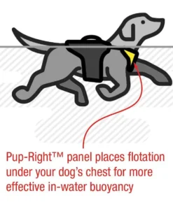 Stohlquist Pup Float Dog Lifejacket (PFD) -Kokatat Shop media e6047bcc 5327 4e98 959f 19149e6aac9a