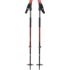Black Diamond Traverse Ski Poles